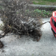 Illustration for article titled In a Pinch, Your E30 Can Be Used As a Garden Tractor